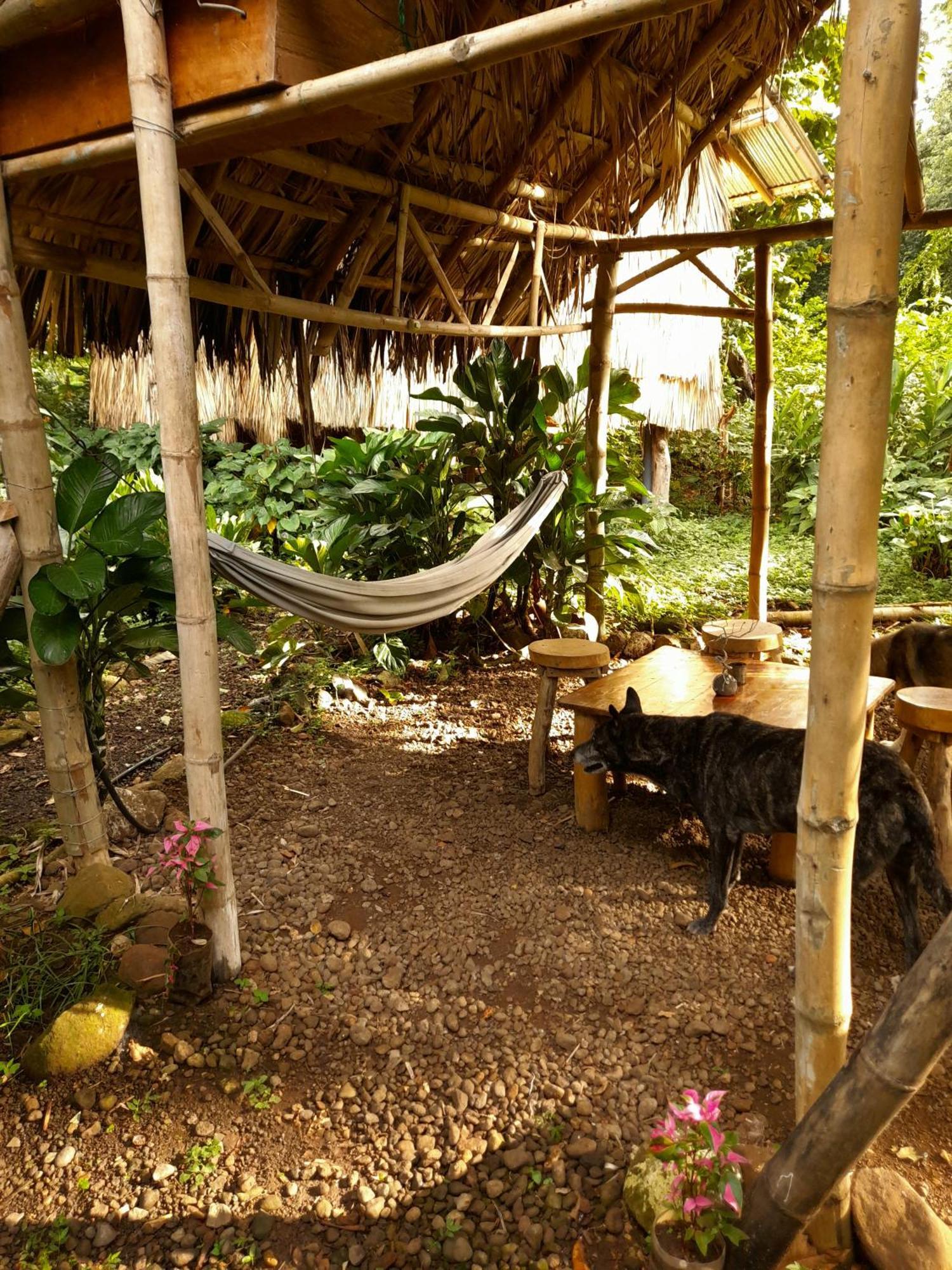 El Bamboo Cabins Balgue Exterior foto